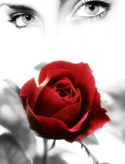 L’ULTIMA ROSA
