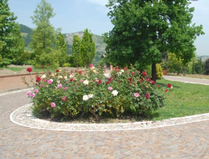 IL GIARDINO