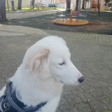 EPPURE… TU PENSI