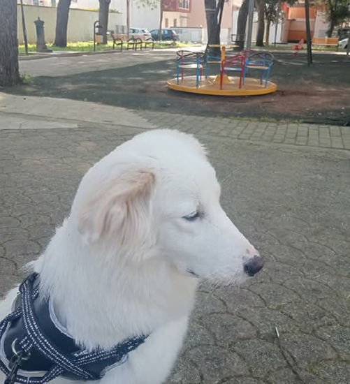 EPPURE… TU PENSI